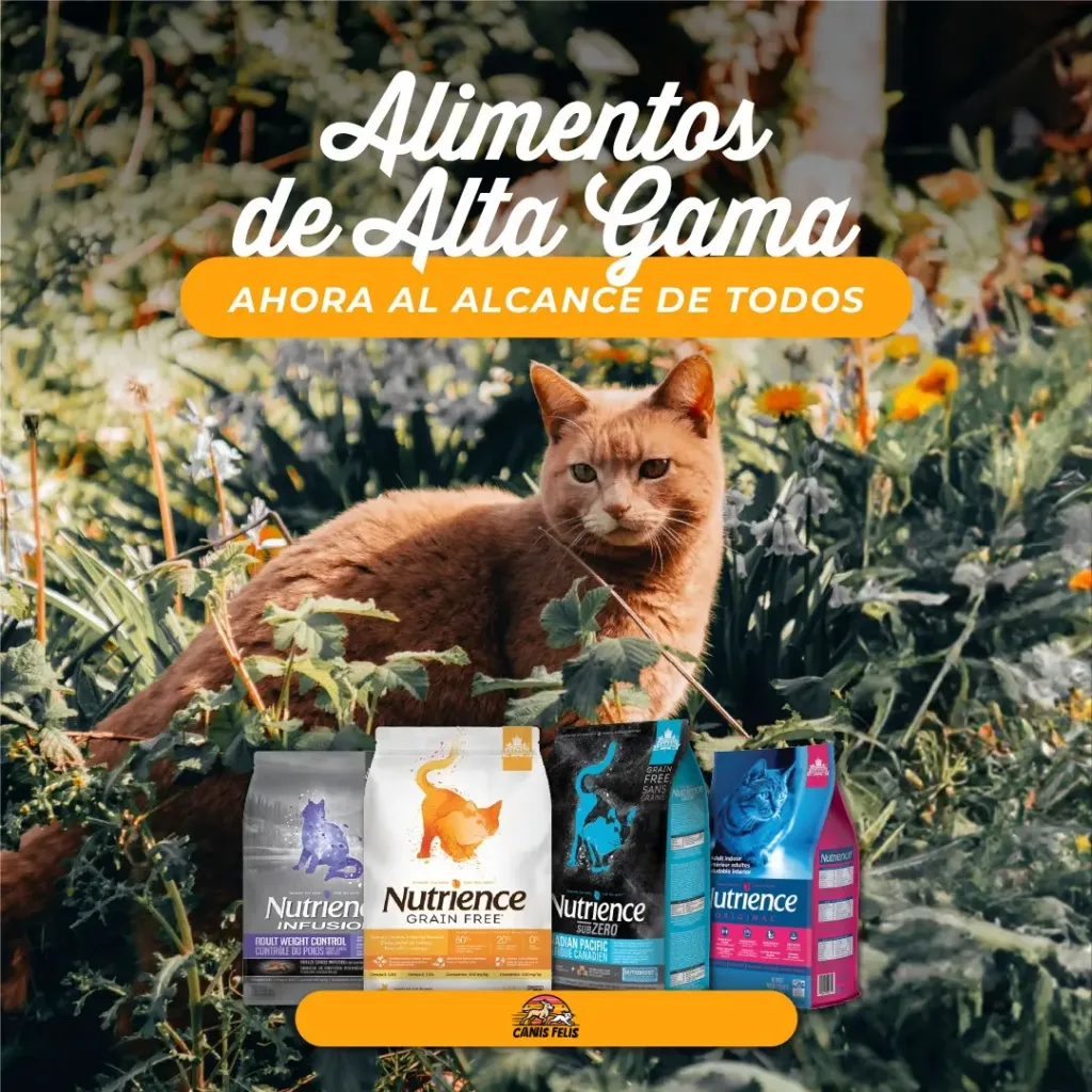 Alimento gatos nutrience