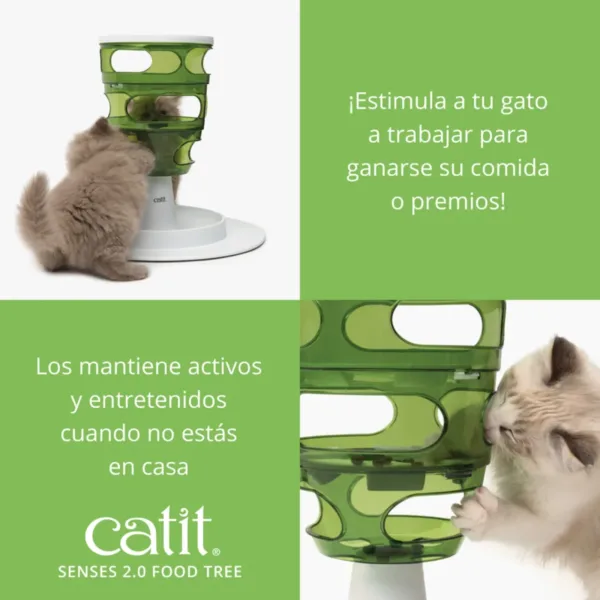 Accesorios gatos