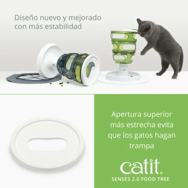 Accesorios gatos