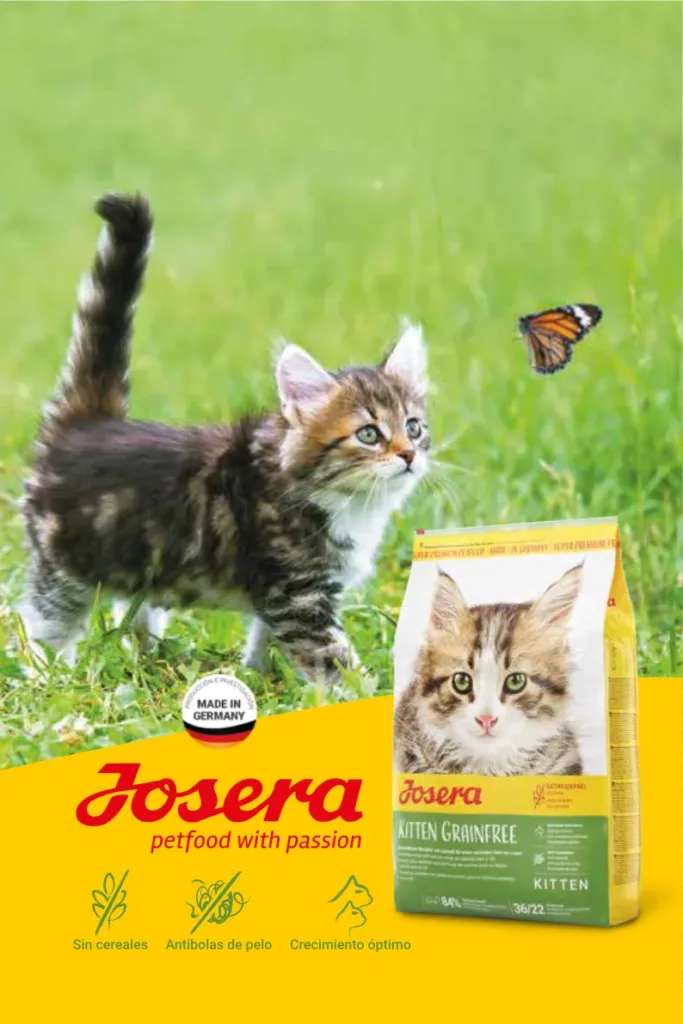 Josera gatos