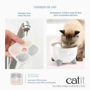 Accesorio gato